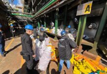 Polícia Federal incinera mais de quatro toneladas de maconha na região