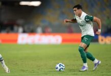 Palmeiras faz duas trocas na lista de inscritos da Libertadores