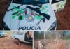 Dupla é multada por caçar sem autorização em Cardoso