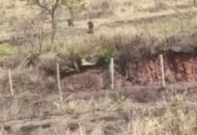 Homem é encontrado morto após sair para soltar pipa em área rural de Jales