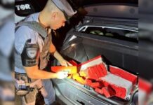 Polícia apreende carga de maconha na Rodovia Euclides da Cunha