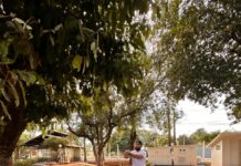 Mostra Leão Amigo: projeto “Viver em Movimento II” promove saúde, bem-estar e qualidade de vida para pessoas idosas