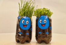 Saev Ambiental assina Espaço de Oficinas no Fliv com ações sustentáveis