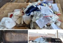 DISE de Votuporanga incinera drogas apreendidas em operações