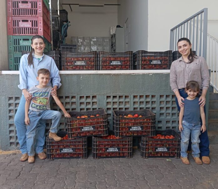doação tomates