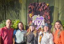 Com apoio do Sebrae-SP, Cadeia Produtiva Local da uva de Palmeira d’Oeste é reconhecida e pode receber fomento do governo paulista