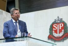 Carlão Pignatari orienta municípios sobre chamamento público para castração de cães e gatos