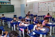 SAEB 2025: simulados e avaliação de acompanhamento preparam estudantes para avaliação nacional