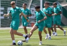 Palmeiras se reapresenta após vitória na Libertadores e deve ter mudanças contra o Fortaleza