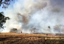 Incêndio destrói cerca de 420 hectares e mobiliza força-tarefa em Votuporanga