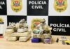 DISE de Fernandópolis prende traficante e apreende quase 10 kg de maconha