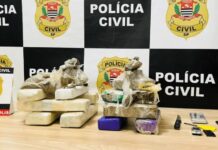 DISE de Fernandópolis prende traficante e apreende quase 10 kg de maconha