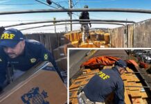 Carreta com mais de 138 mil maços de cigarros contrabandeados do Paraguai é apreendida em Rio Preto