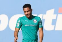 Palmeiras deve ter elenco quase completo para encarar o River Plate na Argentina