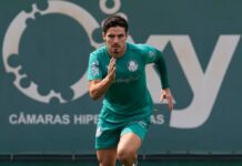 Andreas Pereira faz primeiro treino pelo Palmeiras, e Veiga inicia transição física