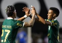 Palmeiras encerra janela com oito saídas, quase R$ 250 milhões investidos e cinco reforços