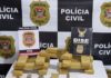 DISE prende traficante e apreende 14 kg de maconha em Votuporanga