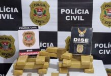 DISE prende traficante e apreende 14 kg de maconha em Votuporanga