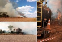 Incêndio consome cerca de 12 hectares e mobiliza equipes de combate em Votuporanga