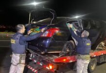 Polícia apreende quase 1 tonelada de maconha em José Bonifácio