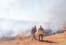 Defesa Civil prevê semana crítica para queimadas no Estado de São Paulo