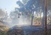 Eletricista é preso suspeito de provocar incêndio em área de pastagem em Rio Preto