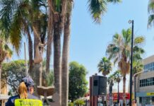 Conscientização no trânsito: Prefeitura de Votuporanga promove ações na Concha Acústica