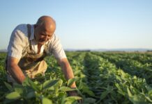 Sebrae-SP realiza palestra sobre empreendedorismo rural para produtores em Jales
