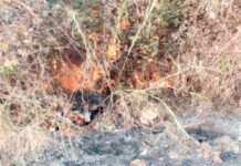 Mais seco que o Saara! Defesa Civil de SP emite alerta para risco de queimadas no estado