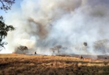 Interior de SP tem risco elevado de queimadas até sexta-feira, alerta Defesa Civil