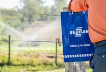 Palmeira D’Oeste recebe 1º Dia de Campo do Sebrae-SP com foco na comercialização e valorização da produção rural