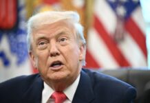 ‘É muito parecido com o que tentaram fazer comigo’, diz Trump sobre condenação de Bolsonaro