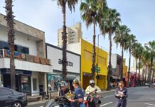 Votuporanga realiza a 1° Conferência Comunitária de Segurança no Trânsito