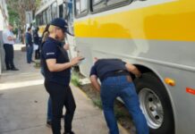 Detran-SP: Fernandópolis e Santa Fé do Sul recebem fiscalizações de transporte escolar