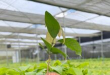 EXPO Rio Preto abre espaço para discussões técnicas com edição da 3ª InterTech Agro