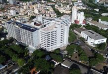 Américo de Campos realiza 3º Almoço e Leilão de Gado em prol do Hospital de Base