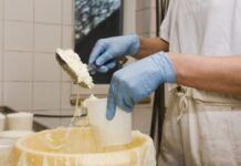 Curso de Processamento Agroindustrial do Leite capacita produtores e interessados em Votuporanga