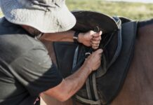 Votuporanga sedia o 1º Grand Prix Ranch Sorting com disputas categorias ABQM e Tira Boi com mais de R$100 mil em prêmios