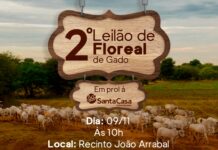 2º Leilão de Floreal em prol da Santa Casa de Votuporanga será realizado no dia 9 de novembro