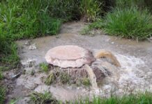 Ministério Público cita Prefeitura de Votuporanga por vazamento de esgoto no “Córrego Boa Vista”