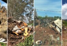 MP pede condenação da Prefeitura de Votuporanga por não ‘adequar’ depósito de galhos