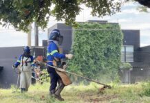 Prefeitura de Votuporanga notifica proprietários para a limpeza de terrenos