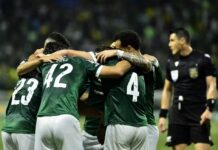 Pendurados “zeram” contra o Vasco, e Palmeiras vai para o Choque-Rei sem novos desfalques