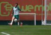 Gómez volta ao Palmeiras, e Khellven avança em recuperação antes de jogo contra Flamengo