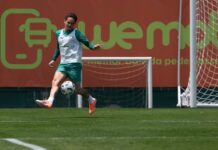 Gómez volta ao Palmeiras, e Khellven avança em recuperação antes de jogo contra Flamengo