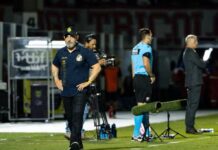 Mirassol se torna o melhor estreante do Brasileirão na era dos pontos corridos