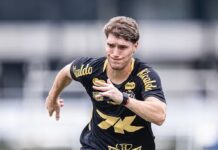 Rollheiser aposta em sequência caseira para o Santos se recuperar na tabela do Brasileirão