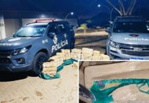 Caminhoneiro é preso com R$ 12 milhões em crack escondido em carga de peixe