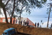 Caminhão desgovernado desce barranco em Fernandópolis