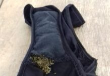 Mãe é presa ao tentar entrar no CDP de Rio Preto com drogas escondidas na calcinha